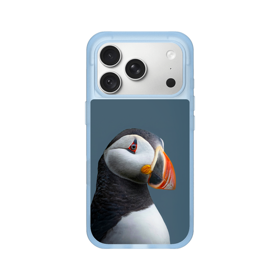 Puffin