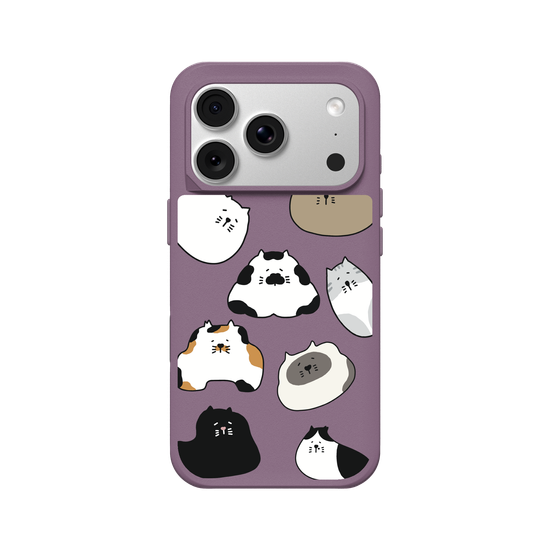 travelpaint.cat funny cats 
