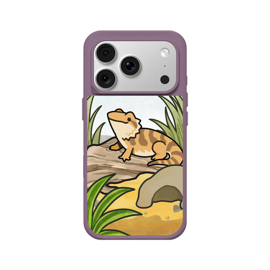 Bearded Dragon Terrarium