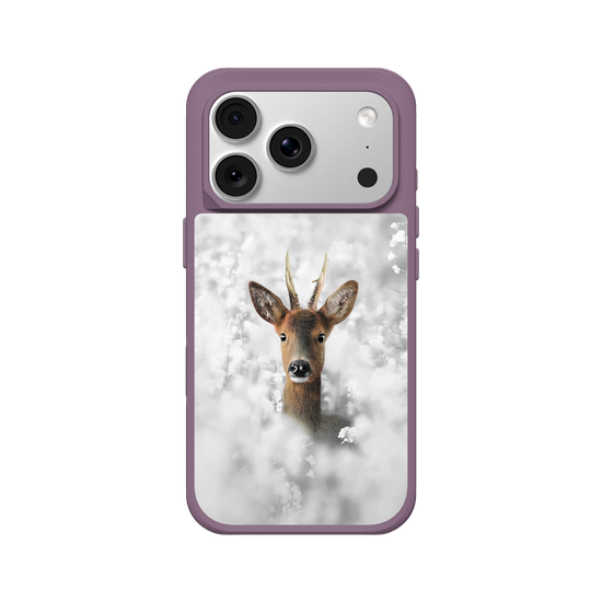 White Roe Deer