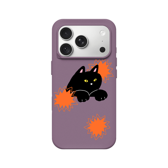 black cat