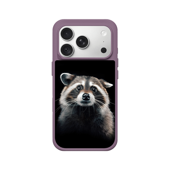 Raccoon