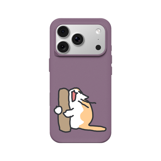 What is the cat doing?
