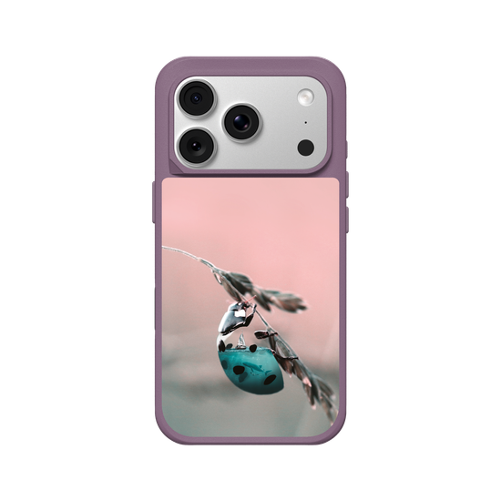 Aquanimal Ladybug