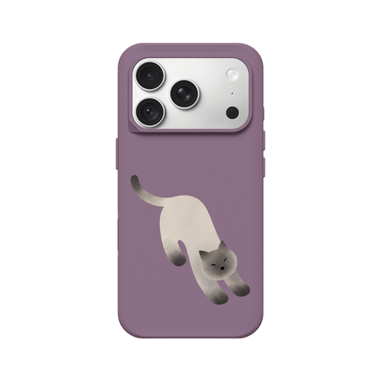 A Stretching cat