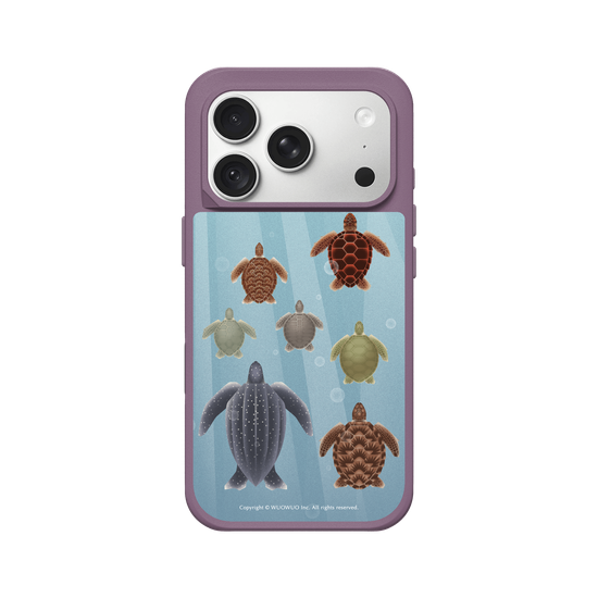 Miniature Field Guide-Sea ​​Turtle(Color)
