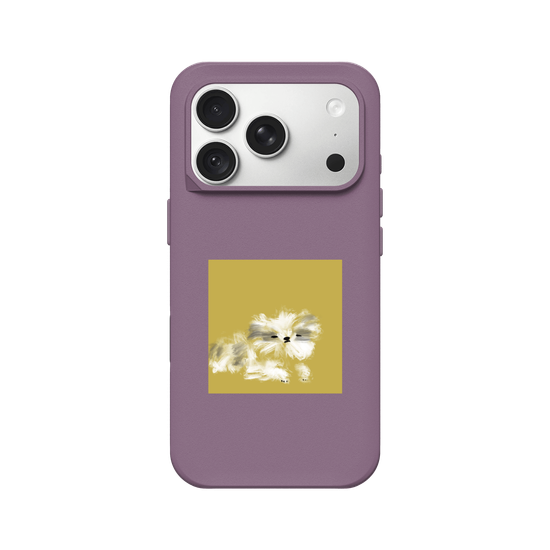 A Shih Tzu who just woke up