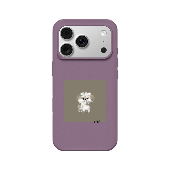A little Shih Tzu