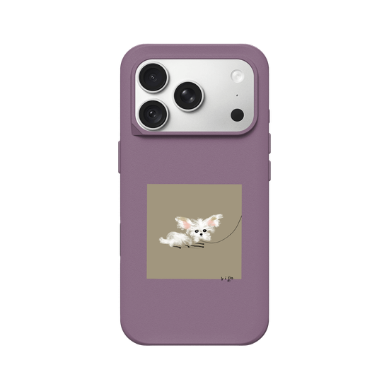 small white dog