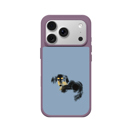 a tiny dachshund
