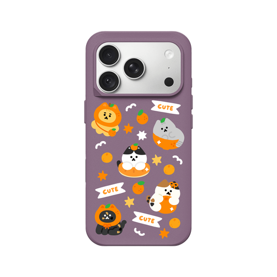 Orange Cat 🍊