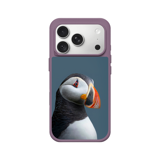 Puffin
