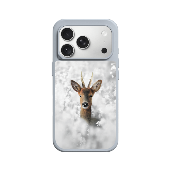 White Roe Deer
