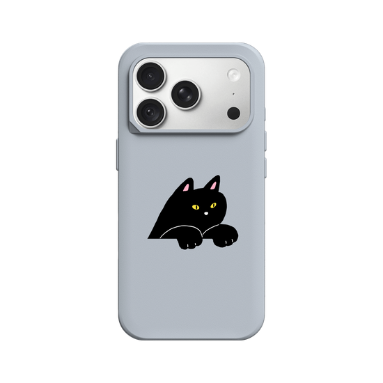 black cat