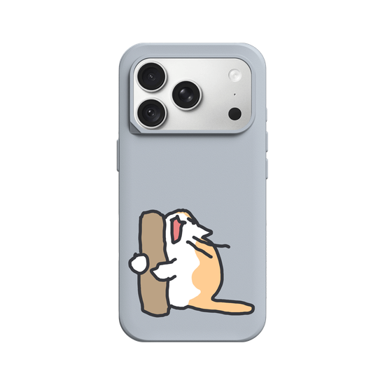 What is the cat doing?