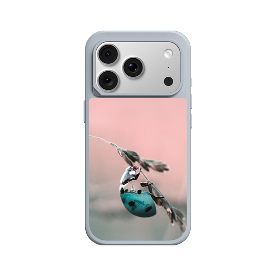 Aquanimal Ladybug