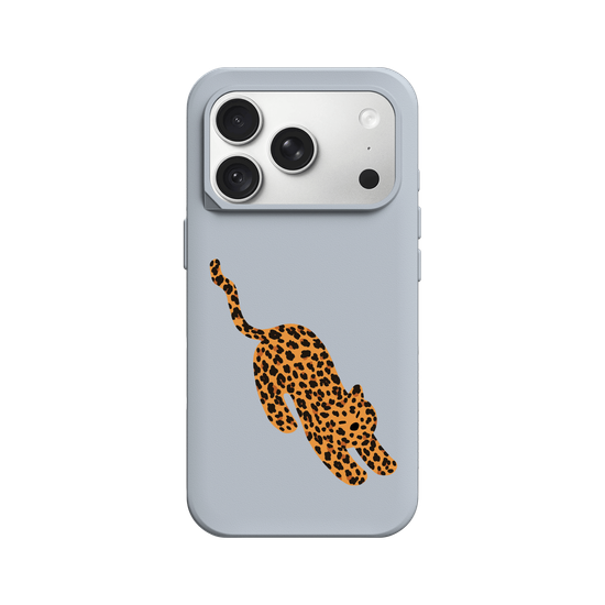 A Stretching Leopard