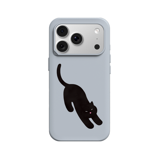 A Stretching cat