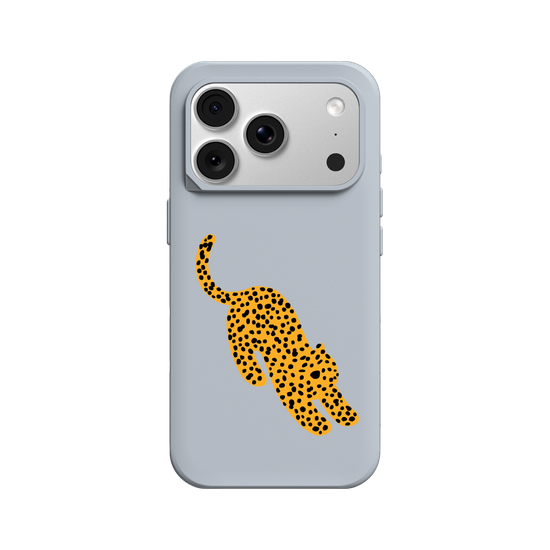 A Stretching cheetah
