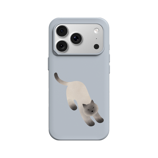 A Stretching cat