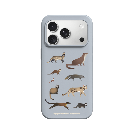 Miniature Field Guide-Carnivora(Clear)