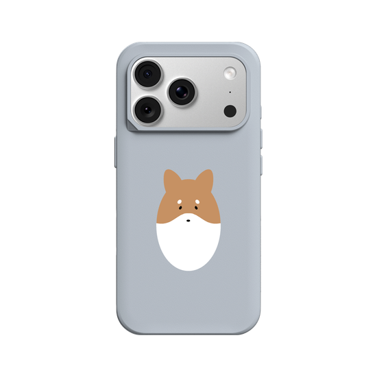 Animals - Shiba Inu Dog