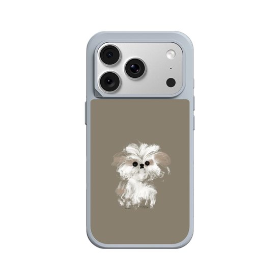 A little Shih Tzu