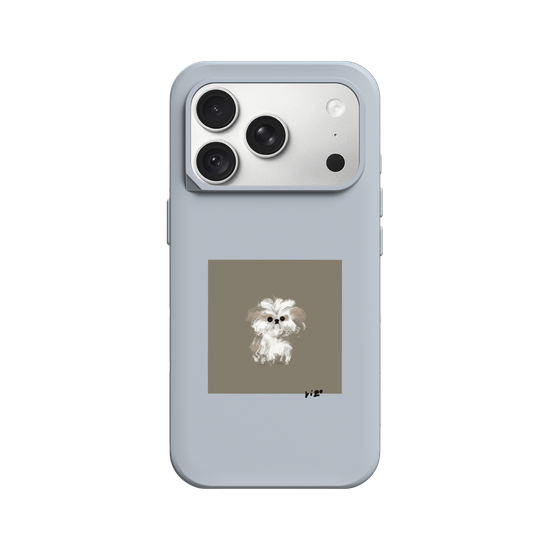 A little Shih Tzu