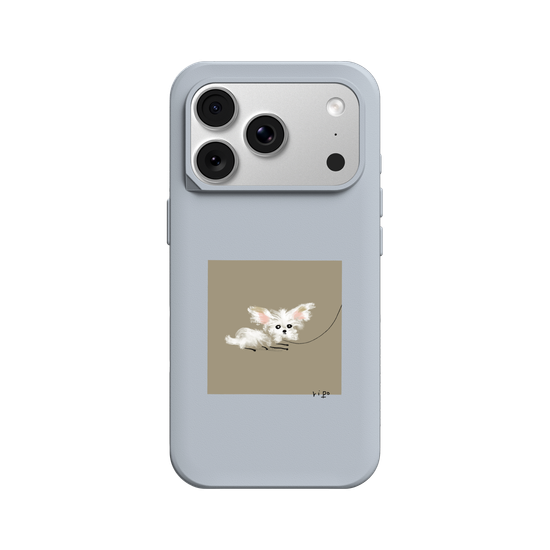 small white dog