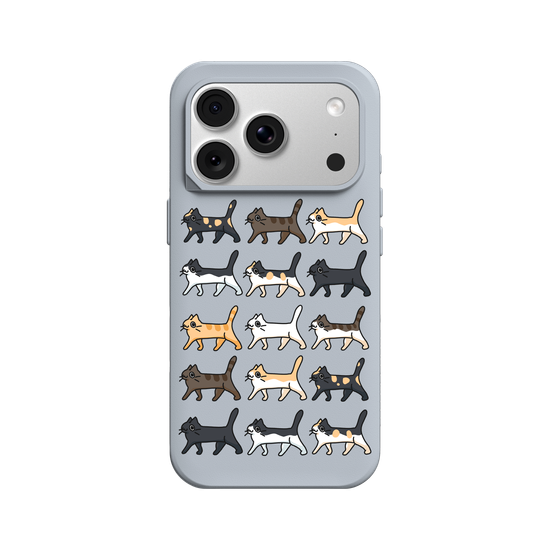 Walking Cat Illustrated Guide