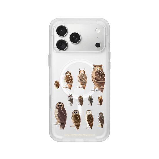 Miniature Field Guide-Owls(Clear)