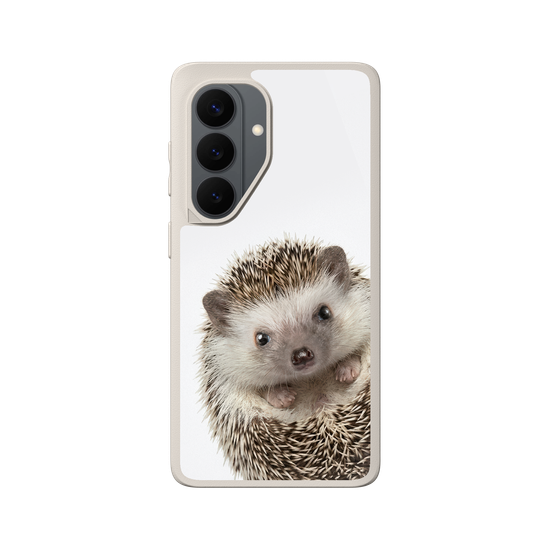 Hedgehog