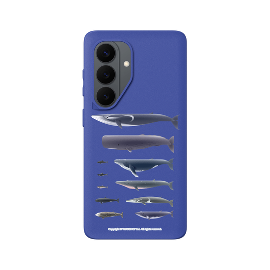 Miniature Field Guide-Whale(Clear)