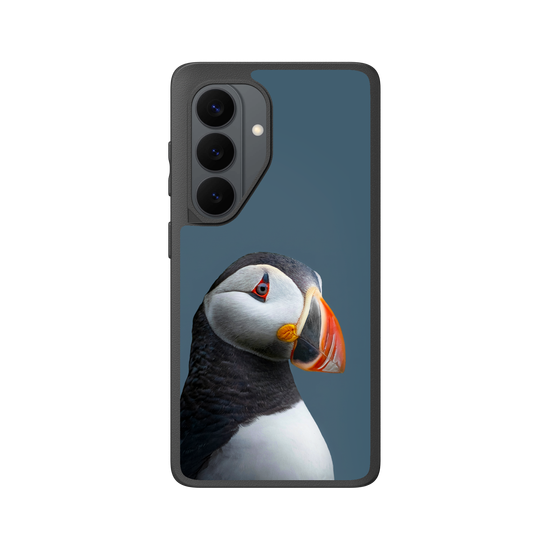 Puffin