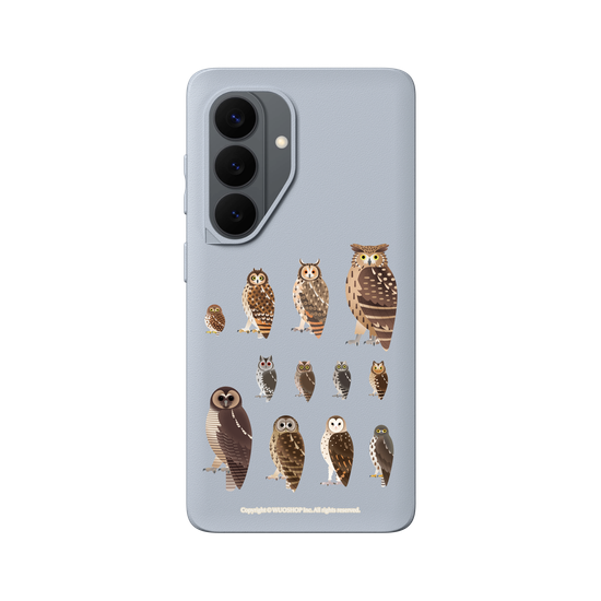 Miniature Field Guide-Owls(Clear)