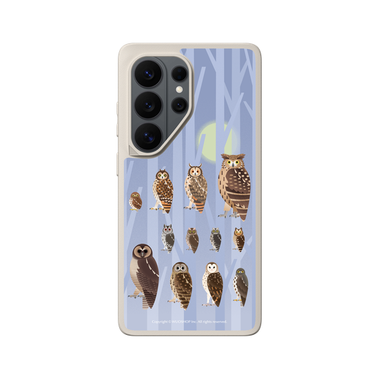 Miniature Field Guide-Owls(Color)