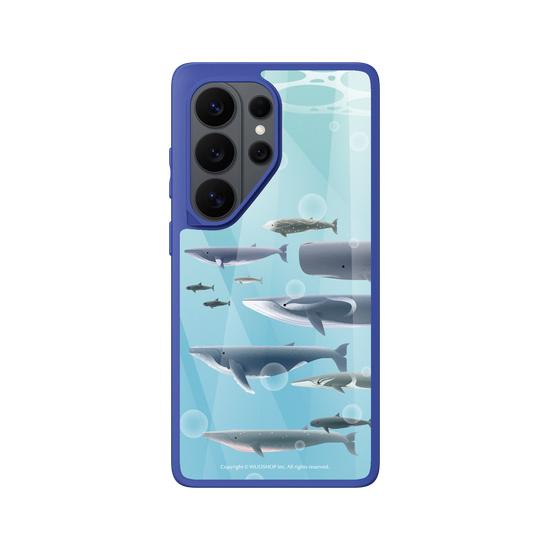 Miniature Field Guide-Whale(Color)