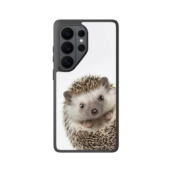 Hedgehog
