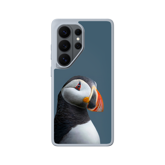 Puffin