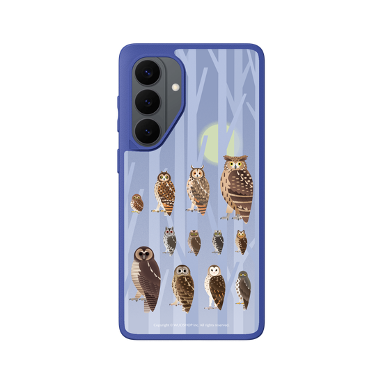 Miniature Field Guide-Owls(Color)