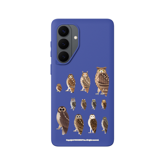 Miniature Field Guide-Owls(Clear)