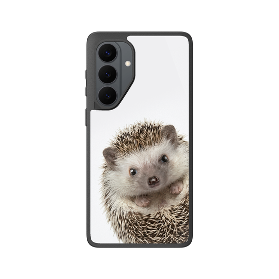 Hedgehog