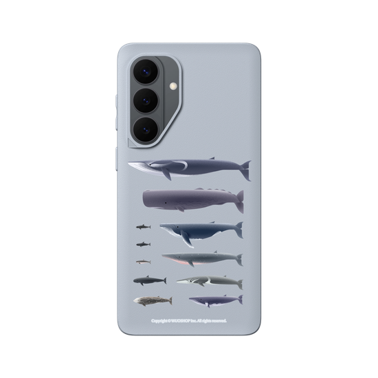 Miniature Field Guide-Whale(Clear)