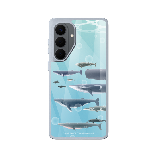 Miniature Field Guide-Whale(Color)