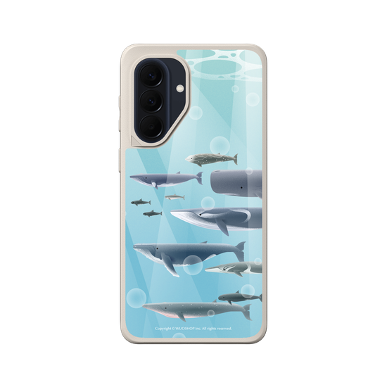 Miniature Field Guide-Whale(Color)