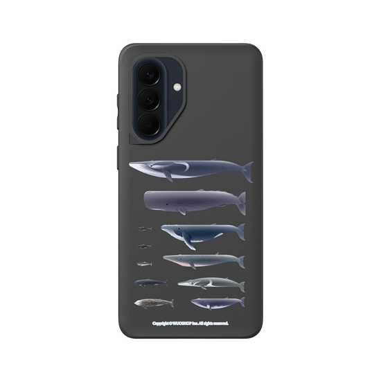 Miniature Field Guide-Whale(Clear)