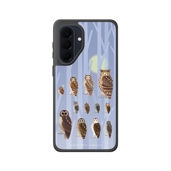 Miniature Field Guide-Owls(Color)
