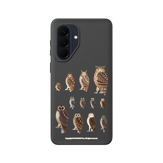 Miniature Field Guide-Owls(Clear)