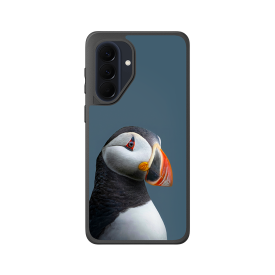 Puffin