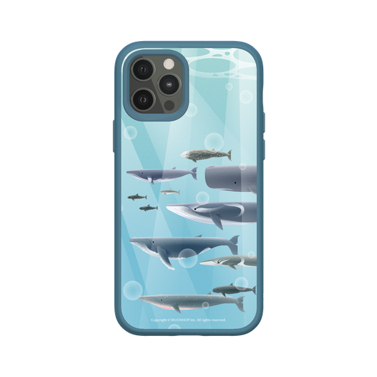 Miniature Field Guide-Whale(Color)